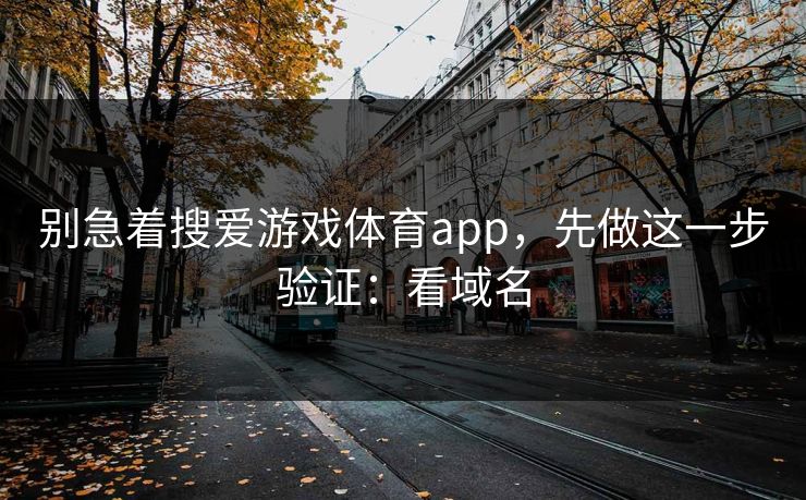 别急着搜爱游戏体育app，先做这一步验证：看域名